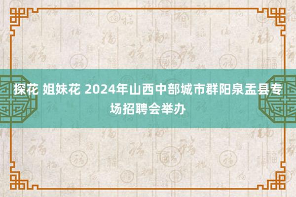 探花 姐妹花 2024年山西中部城市群阳泉盂县专场招聘会举办