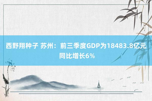 西野翔种子 苏州：前三季度GDP为18483.8亿元 同比增长6%