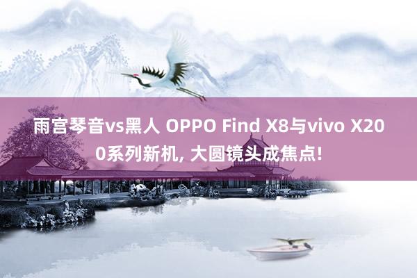 雨宫琴音vs黑人 OPPO Find X8与vivo X200系列新机， 大圆镜头成焦点!