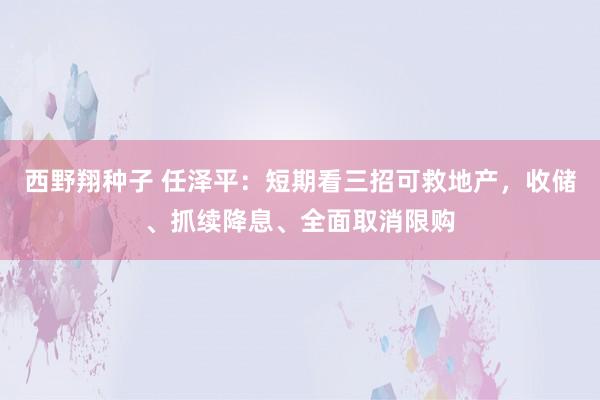 西野翔种子 任泽平：短期看三招可救地产，收储、抓续降息、全面取消限购