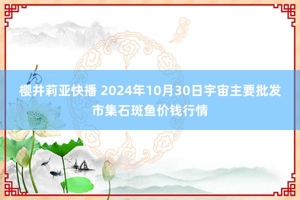 樱井莉亚快播 2024年10月30日宇宙主要批发市集石斑鱼价钱行情