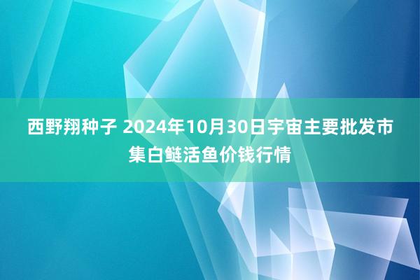 西野翔种子 2024年10月30日宇宙主要批发市集白鲢活鱼价钱行情