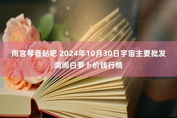 雨宫琴音贴吧 2024年10月30日宇宙主要批发阛阓白萝卜价钱行情