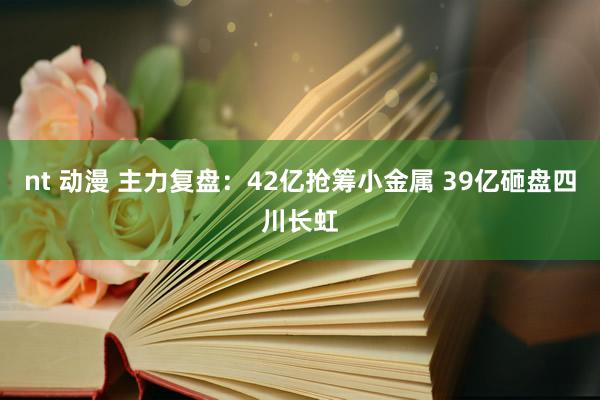 nt 动漫 主力复盘：42亿抢筹小金属 39亿砸盘四川长虹