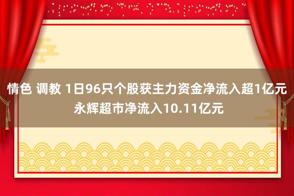 情色 调教 1日96只个股获主力资金净流入超1亿元 永辉超市净流入10.11亿元