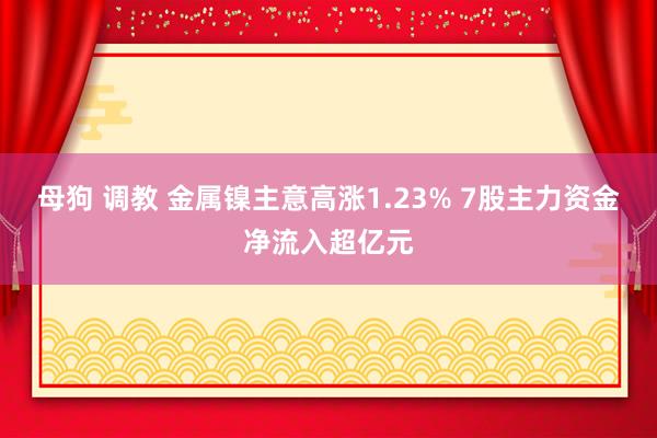 母狗 调教 金属镍主意高涨1.23% 7股主力资金净流入超亿元