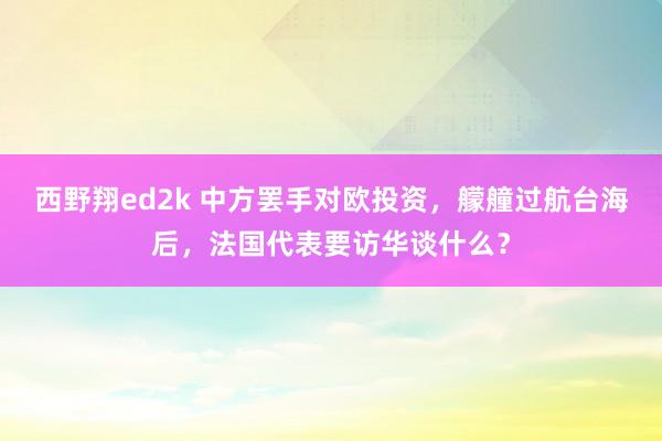 西野翔ed2k 中方罢手对欧投资，艨艟过航台海后，法国代表要访华谈什么？