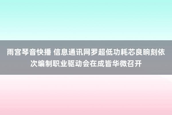 雨宫琴音快播 信息通讯网罗超低功耗芯良晌刻依次编制职业驱动会在成皆华微召开