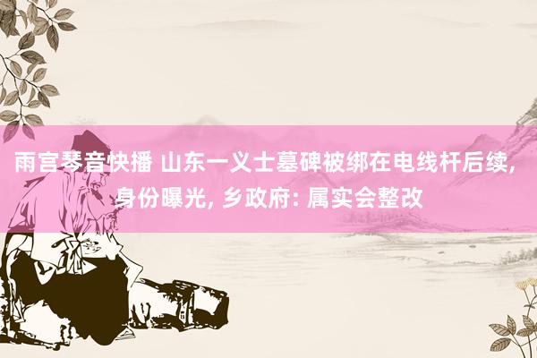 雨宫琴音快播 山东一义士墓碑被绑在电线杆后续， 身份曝光， 乡政府: 属实会整改