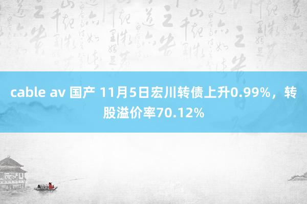 cable av 国产 11月5日宏川转债上升0.99%，转股溢价率70.12%