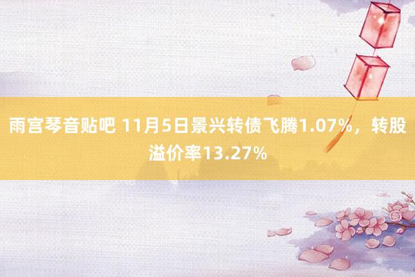 雨宫琴音贴吧 11月5日景兴转债飞腾1.07%，转股溢价率13.27%