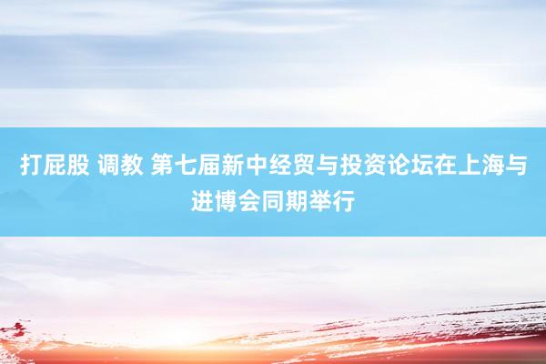 打屁股 调教 第七届新中经贸与投资论坛在上海与进博会同期举行