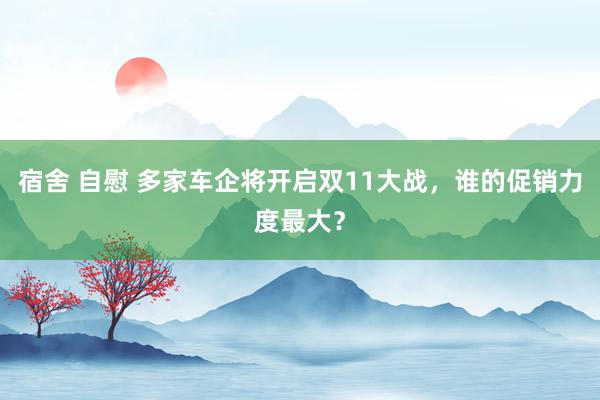 宿舍 自慰 多家车企将开启双11大战，谁的促销力度最大？