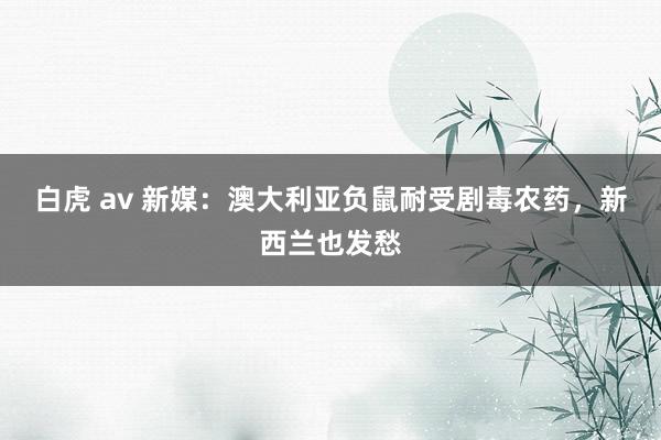 白虎 av 新媒：澳大利亚负鼠耐受剧毒农药，新西兰也发愁