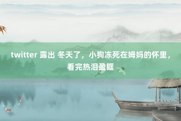 twitter 露出 冬天了，小狗冻死在姆妈的怀里，看完热泪盈眶