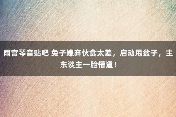 雨宫琴音贴吧 兔子嫌弃伙食太差，启动甩盆子，主东谈主一脸懵逼！