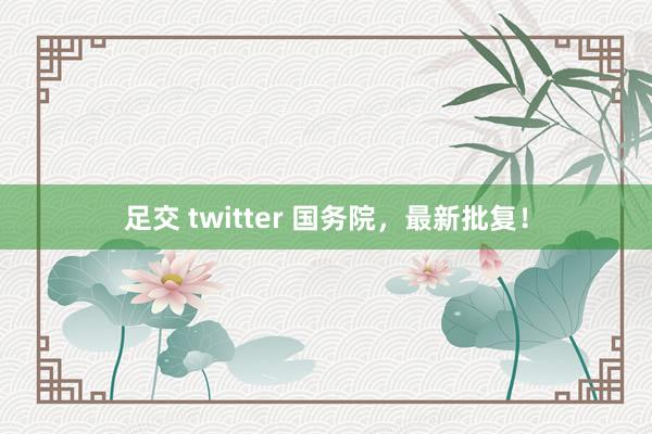 足交 twitter 国务院，最新批复！