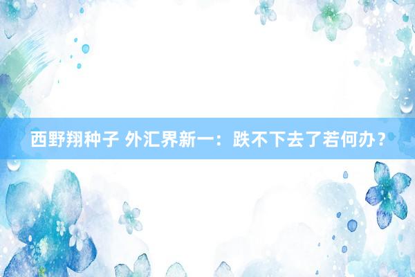 西野翔种子 外汇界新一：跌不下去了若何办？