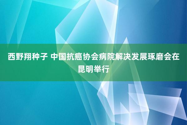 西野翔种子 中国抗癌协会病院解决发展琢磨会在昆明举行