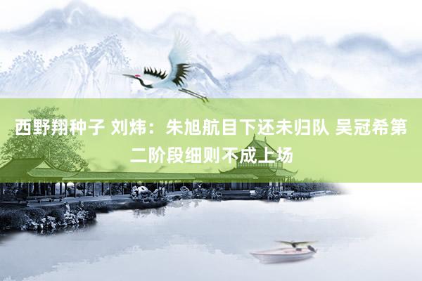 西野翔种子 刘炜：朱旭航目下还未归队 吴冠希第二阶段细则不成上场