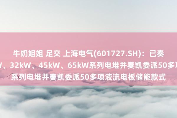 牛奶姐姐 足交 上海电气(601727.SH)：已奏凯研发5kW、25kW、32kW、45kW、65kW系列电堆并奏凯委派50多项液流电板储能款式