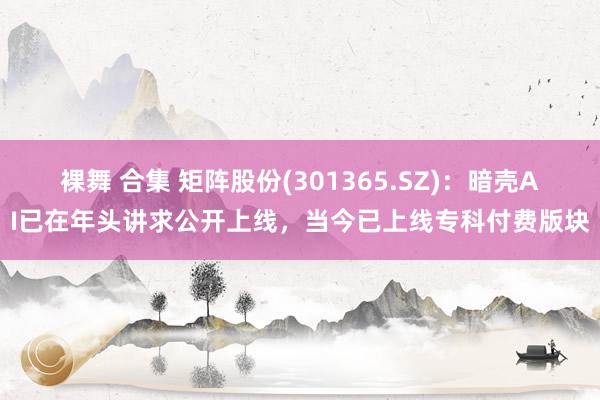 裸舞 合集 矩阵股份(301365.SZ)：暗壳AI已在年头讲求公开上线，当今已上线专科付费版块