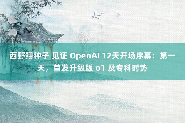 西野翔种子 见证 OpenAI 12天开场序幕：第一天，首发升级版 o1 及专科时势