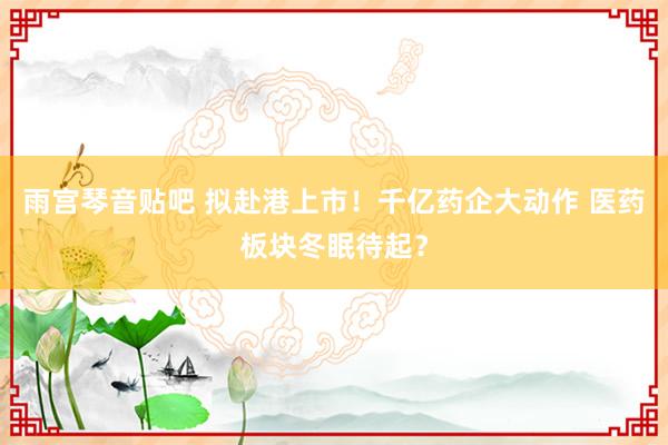 雨宫琴音贴吧 拟赴港上市！千亿药企大动作 医药板块冬眠待起？