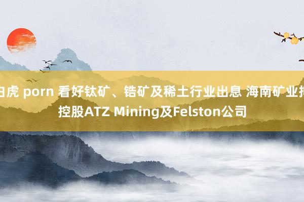 白虎 porn 看好钛矿、锆矿及稀土行业出息 海南矿业拟控股ATZ Mining及Felston公司