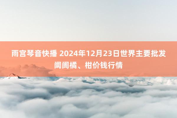 雨宫琴音快播 2024年12月23日世界主要批发阛阓橘、柑价钱行情