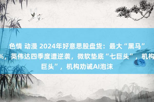 色情 动漫 2024年好意思股盘货：最大“黑马”年涨幅741%，英伟达四季度遭逆袭，微软垫底“七巨头”，机构劝诫AI泡沫