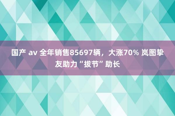 国产 av 全年销售85697辆，大涨70% 岚图挚友助力“拔节”助长