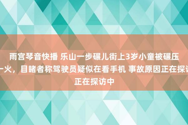 雨宫琴音快播 乐山一步碾儿街上3岁小童被碾压身一火，目睹者称驾驶员疑似在看手机 事故原因正在探访中