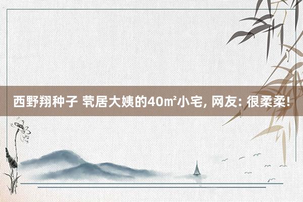 西野翔种子 茕居大姨的40㎡小宅， 网友: 很柔柔!