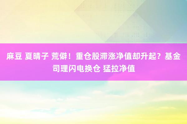 麻豆 夏晴子 荒僻！重仓股滞涨净值却升起？基金司理闪电换仓 猛拉净值