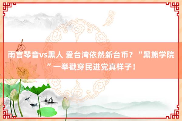 雨宫琴音vs黑人 爱台湾依然新台币？“黑熊学院”一举戳穿民进党真样子！