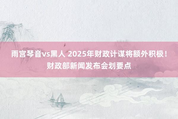 雨宫琴音vs黑人 2025年财政计谋将额外积极！财政部新闻发布会划要点