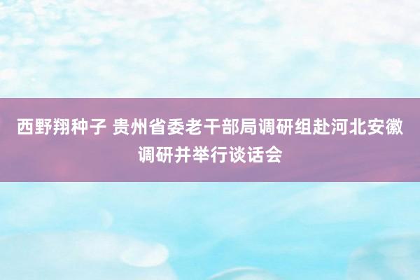 西野翔种子 贵州省委老干部局调研组赴河北安徽调研并举行谈话会