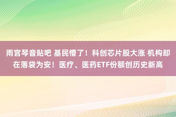 雨宫琴音贴吧 基民懵了！科创芯片股大涨 机构却在落袋为安！医疗、医药ETF份额创历史新高