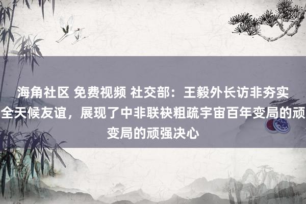 海角社区 免费视频 社交部：王毅外长访非夯实了中非全天候友谊，展现了中非联袂粗疏宇宙百年变局的顽强决心