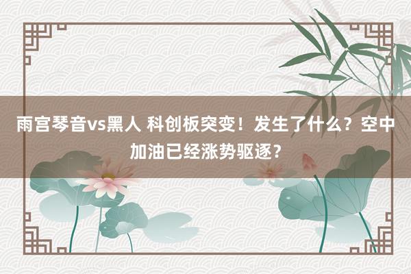 雨宫琴音vs黑人 科创板突变！发生了什么？空中加油已经涨势驱逐？